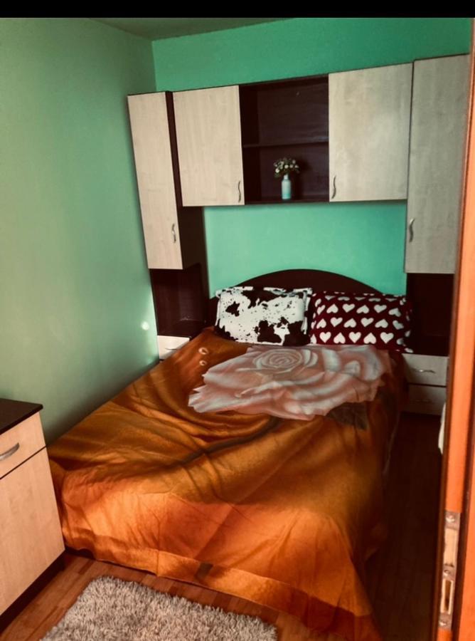 Apartament 2 Camere Arad Kültér fotó